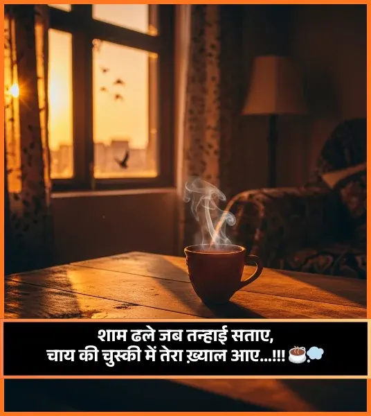 Good Evening Shayari